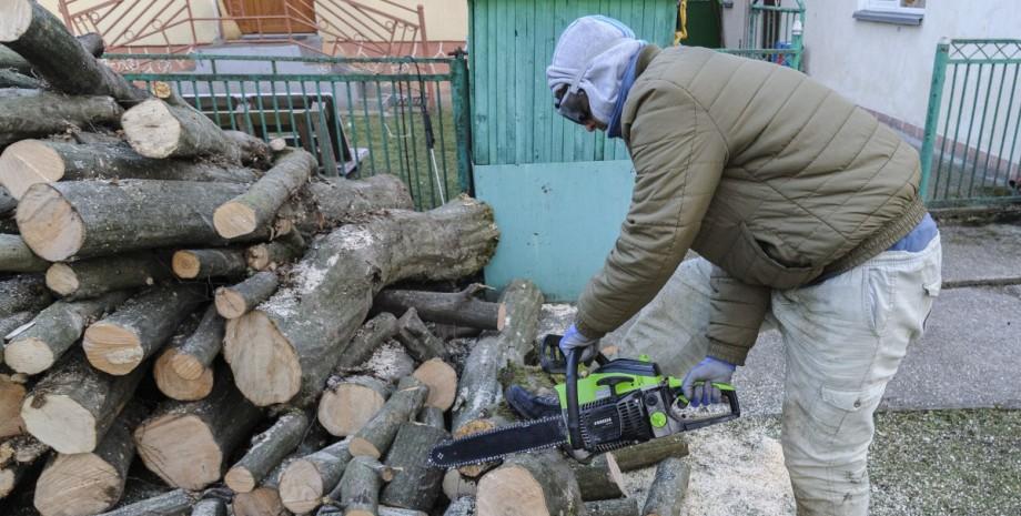 За зберігання дров — у в'язницю: чому новий закон вдарить по селянам, а не браконьєрам.